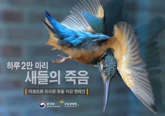 조류 충돌 방지필름 서울 강서 물재생 사업소 체험관에 부딪혀 죽어가는 새들이 하루에 200마리?