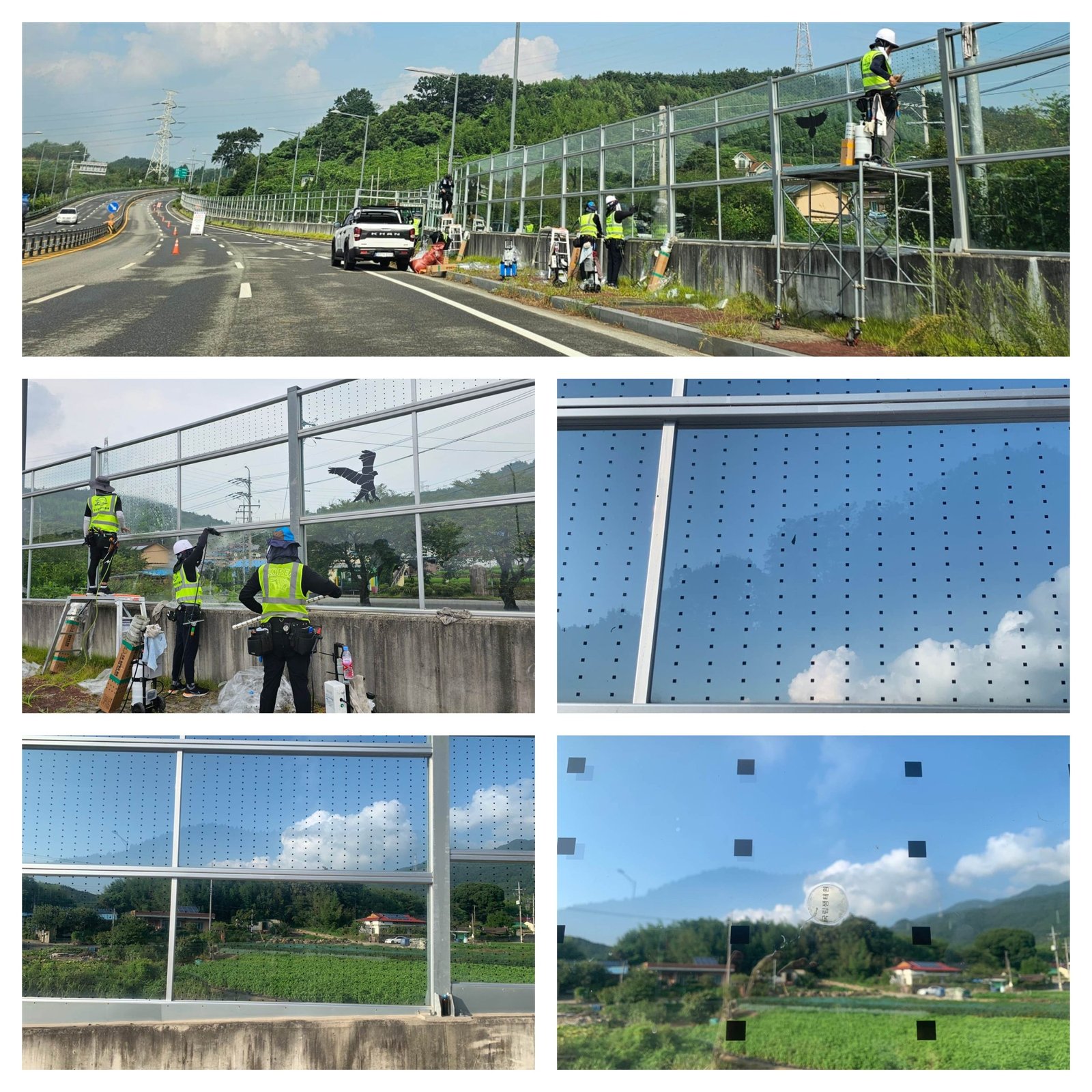 국도 14,19호선 방음벽 조류충돌방지필름 시공사례