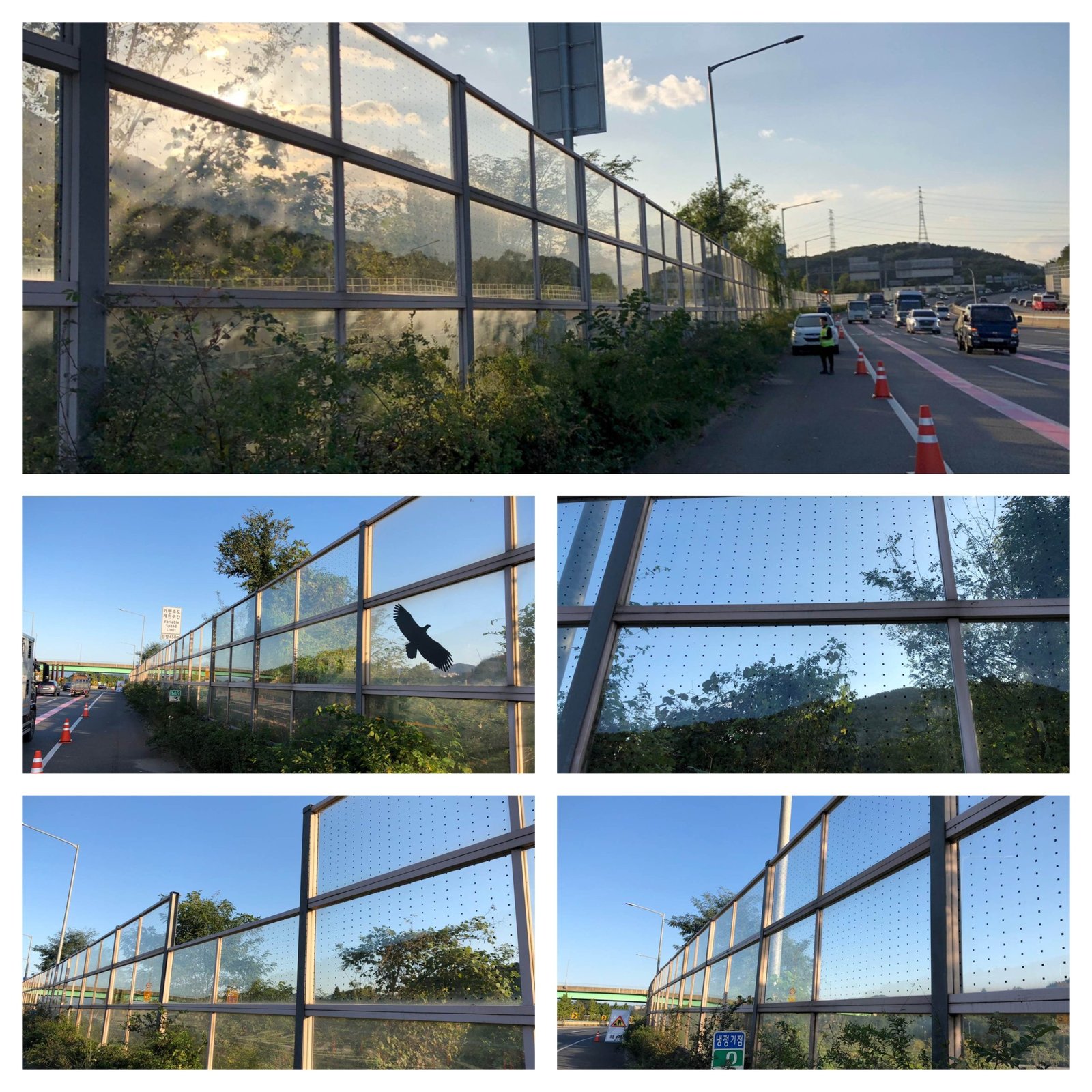 냉정 jc 부산방면 조류충돌방지필름 시공사례