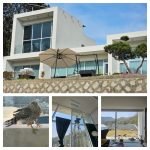 개인 주택 조류충돌방지필름 시공사례