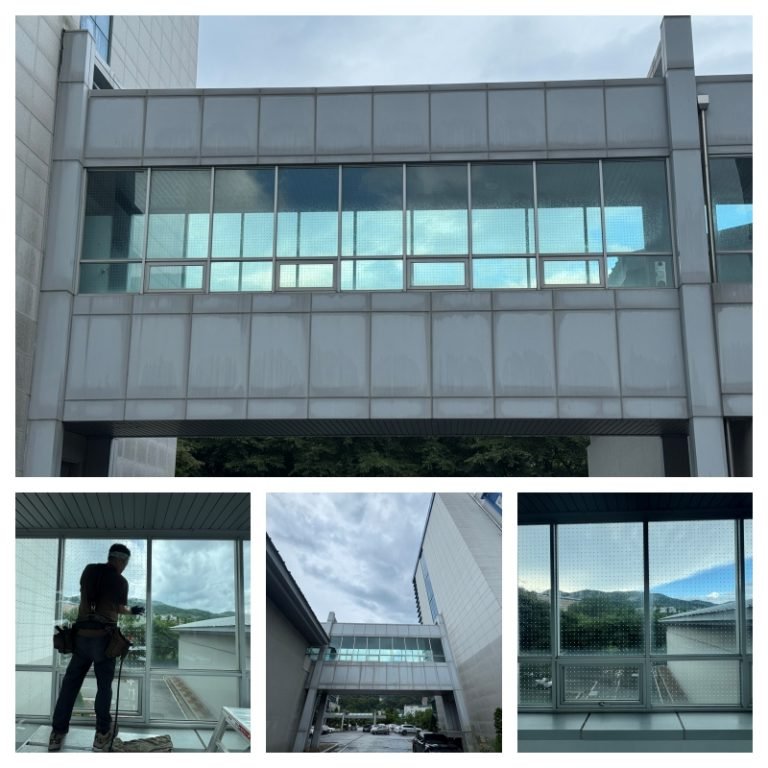 연세대학교 미래캠퍼스 조류충돌방지필름 시공사례